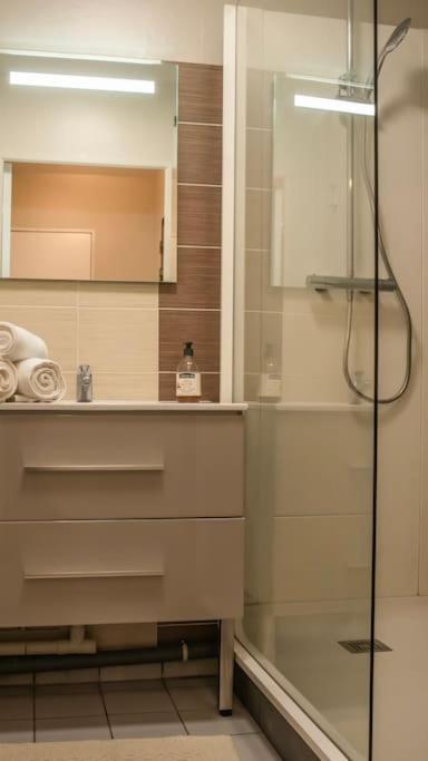 Logement Centre Ville De Reims - Commerces - Wifi מראה חיצוני תמונה